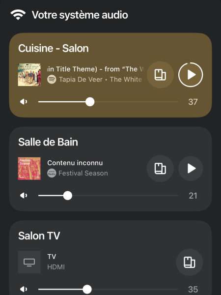 Intégration audio multiroom SONOS à Vienne, près de Lyon : sonorisation connectée et discrète : App SONOS